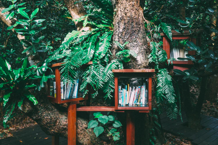 use of nature in literature